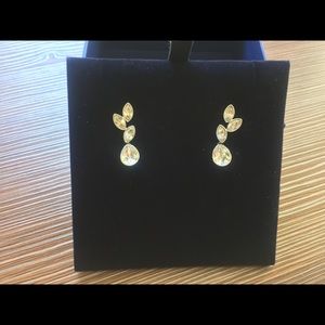 Beautiful Tranquility Pierced Earrings